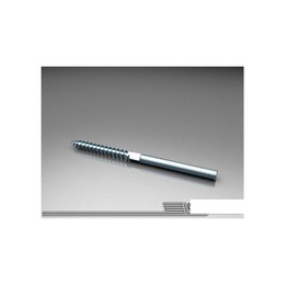 Сантехнический винт SS М10*100